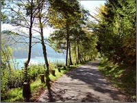 (Bildnachweis: Mit freundlicher Genehmigung der Touristik Seewald) (Bildnachweis: Mit freundlicher Genehmigung der Touristik Seewald)