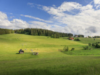  (Bildnachweis: Gemeinde Sch�nwald im Schwarzwald / Michael Stifter)